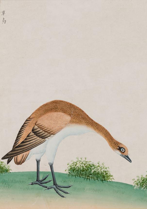 A Study of a Group of Six Chinese Waterbirds | MasterArt
